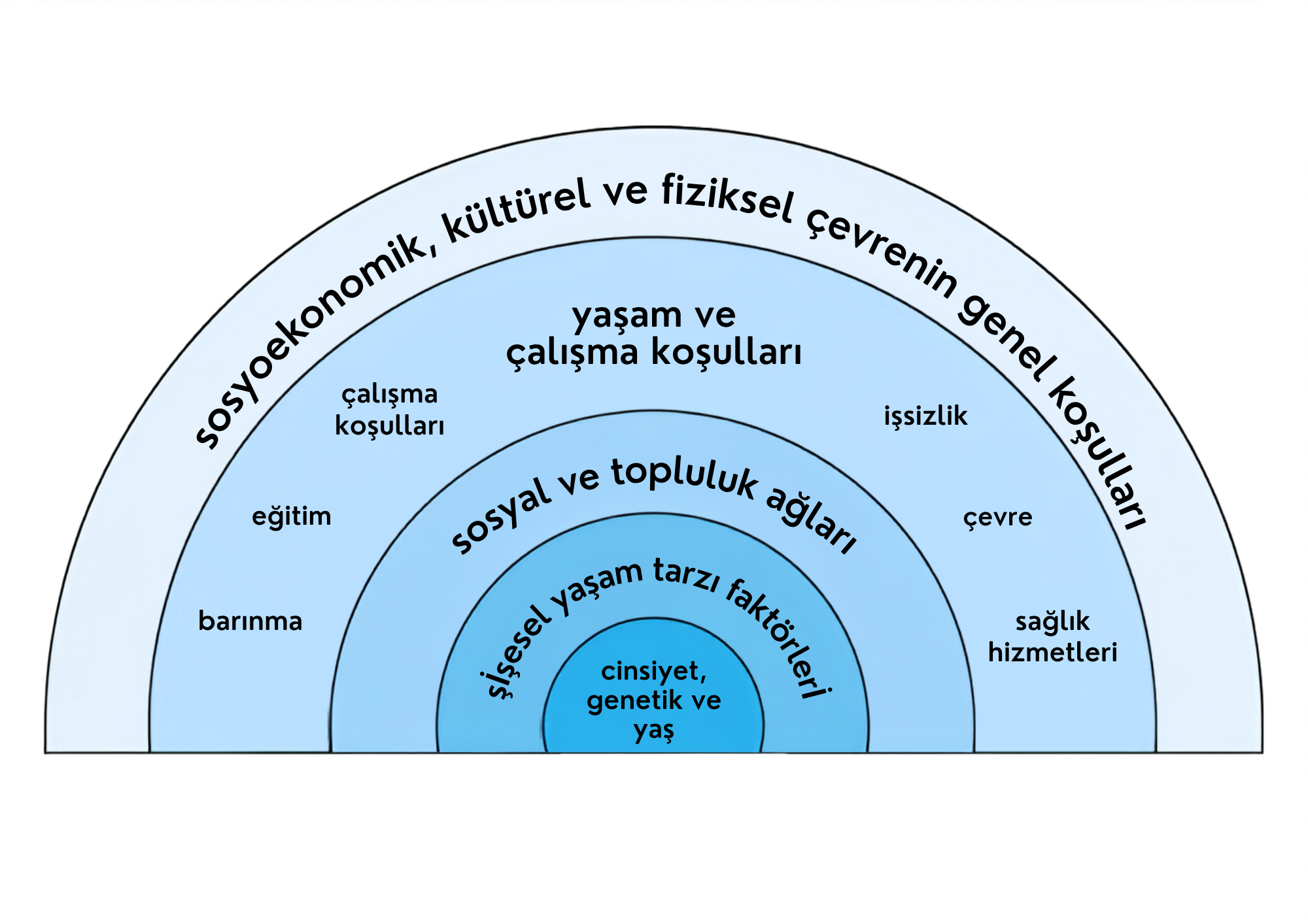 Soziale Determinanten 2